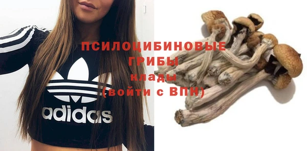 мдпв Усолье-Сибирское