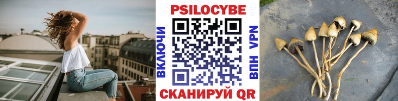 Галлюциногенные грибы прущие грибы  как найти   Рыбинск 