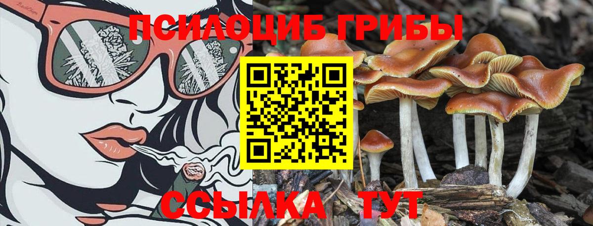Псилоцибиновые грибы мухоморы  Вход с VPN  Рыбинск 
